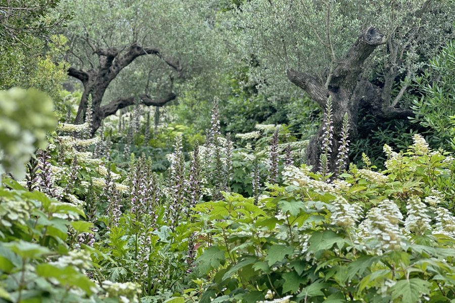 landscapedesign 3