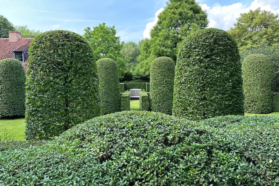 landscapedesign 4
