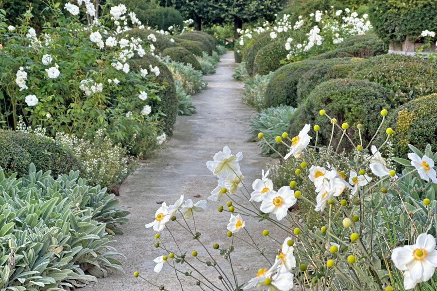 landscapedesign 5