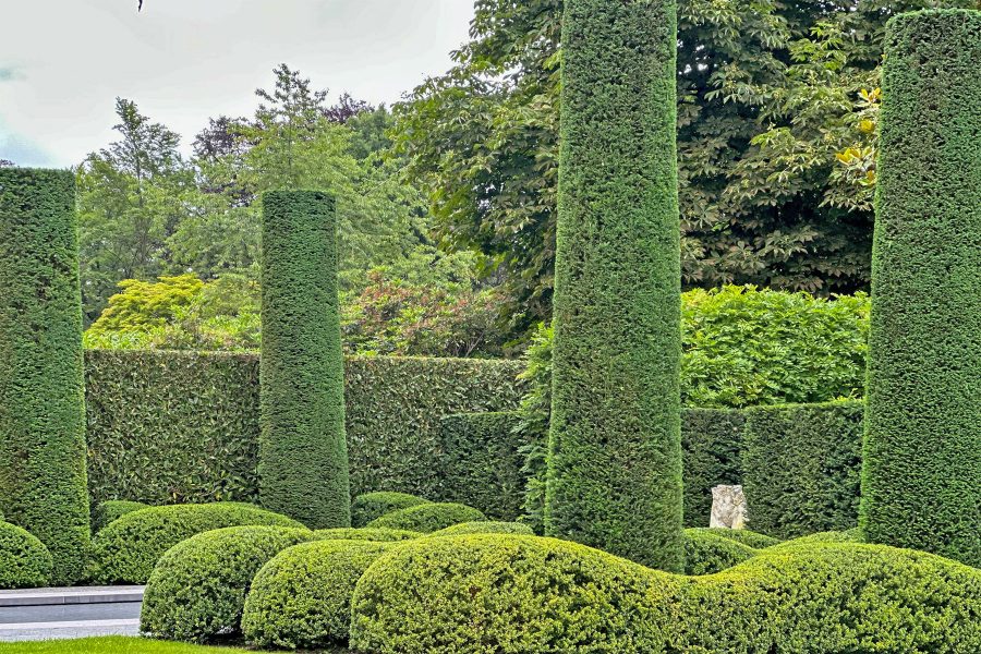 landscapedesign 6