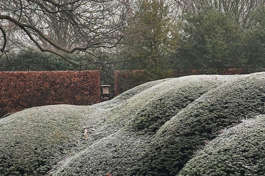 landscapedesign 8